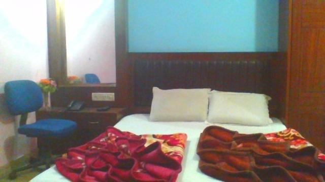 Sahara International Deluxe Hotel New Delhi Bilik gambar