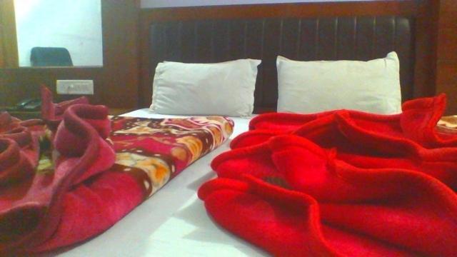 Sahara International Deluxe Hotel New Delhi Bilik gambar