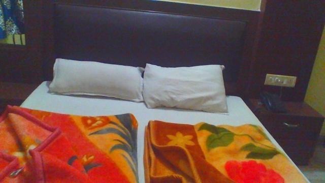 Sahara International Deluxe Hotel New Delhi Bilik gambar